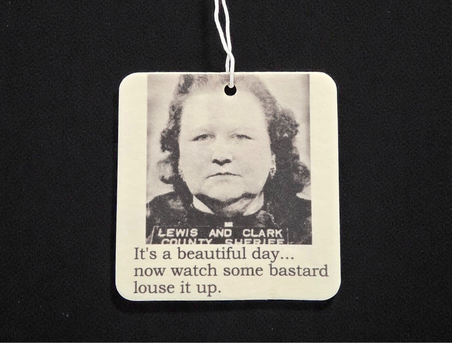 Air Freshener - It's A Beautiful Day | Funny Room or Car Decor