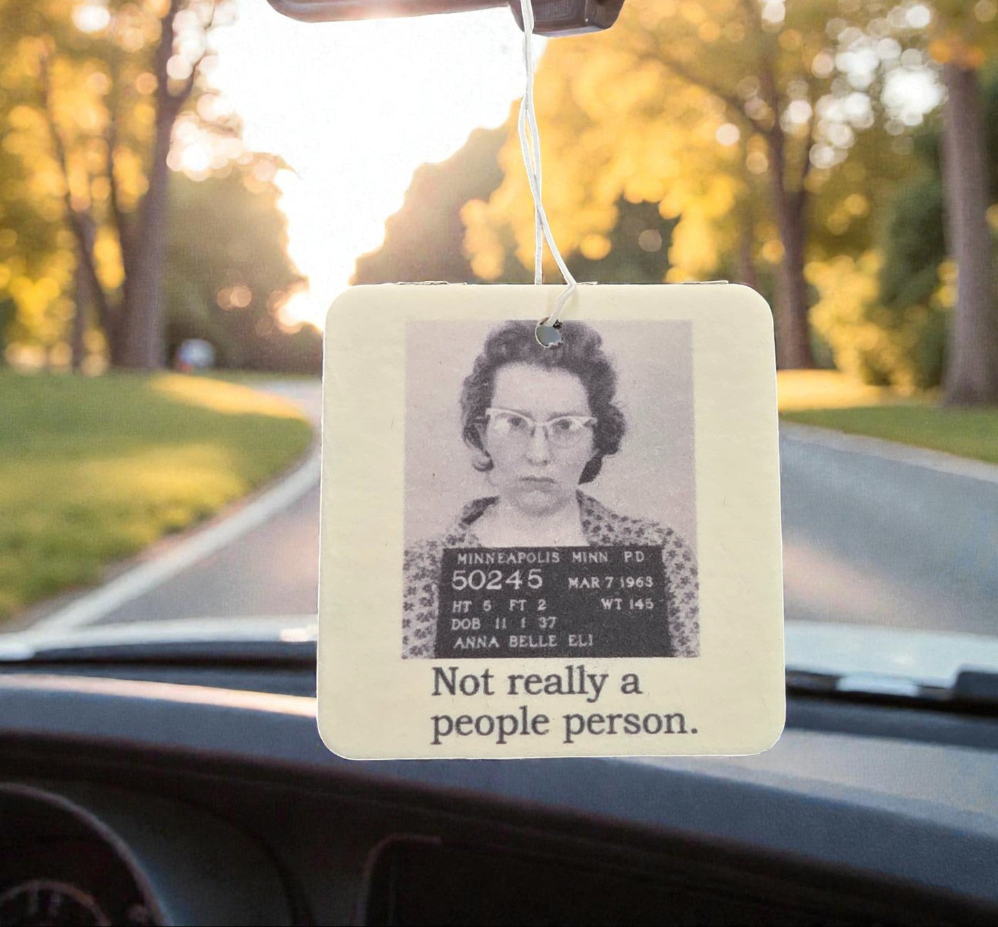 Air Freshener - Not Really a People Person | Funny Room or Car Decor