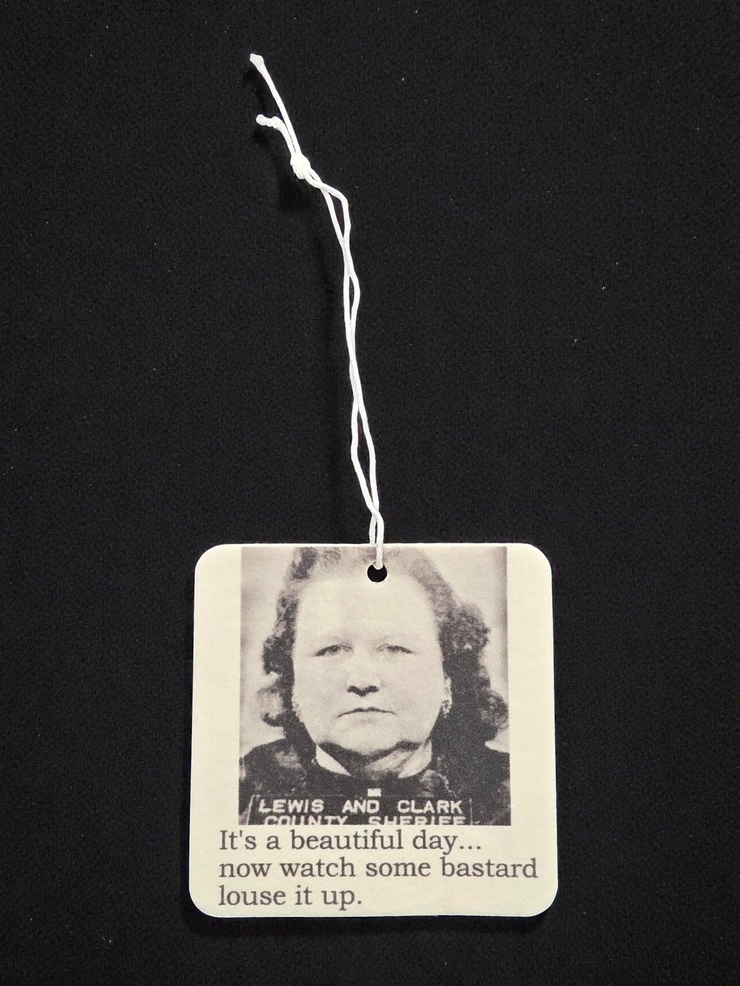 Air Freshener - It's A Beautiful Day | Funny Room or Car Decor