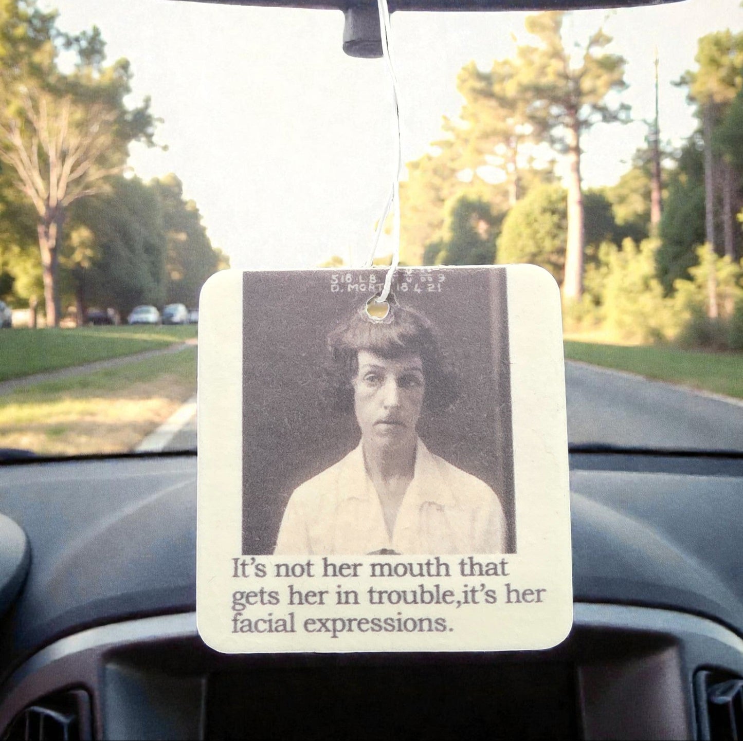 Air Freshener - It's Not Her Mouth | Funny Room or Car Decor