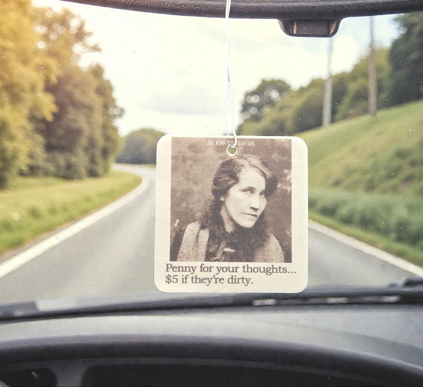 Air Freshener - Penny For Your Thoughts | Funny Room or Car Decor