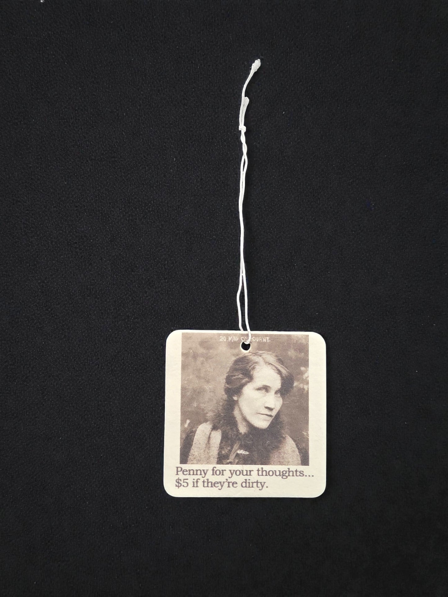 Air Freshener - Penny For Your Thoughts | Funny Room or Car Decor