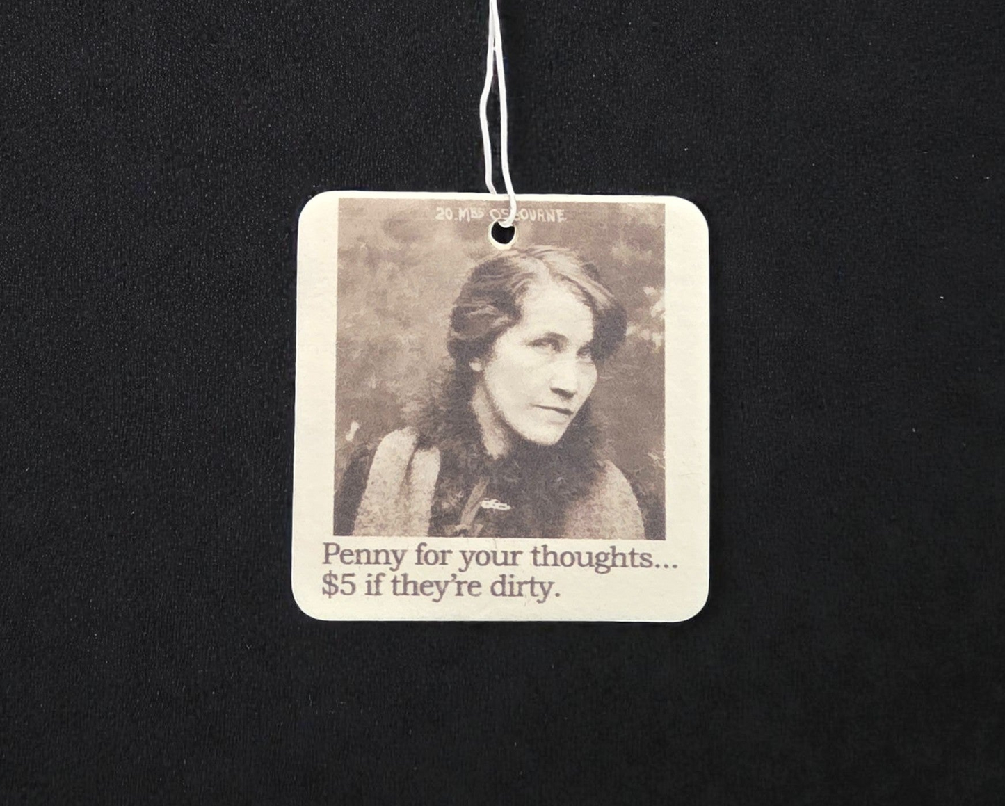 Air Freshener - Penny For Your Thoughts | Funny Room or Car Decor